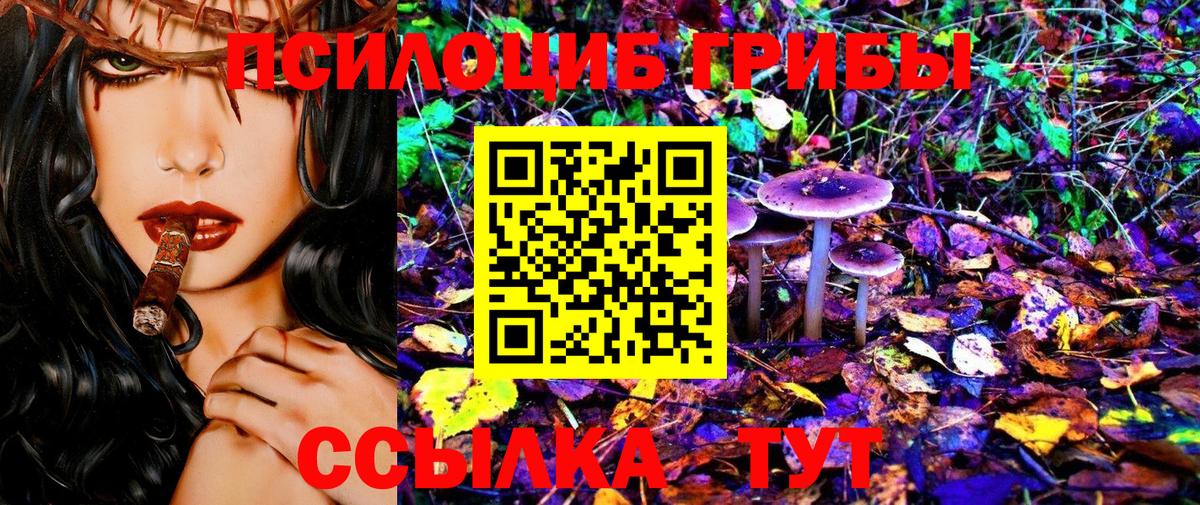 Купить наркотики  ГАШ  Вход с VPN  Марихуана  МЕФ   Лесной  ГАШИШ 
